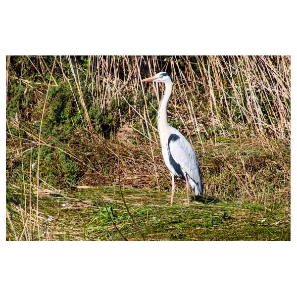 PHOTO84, CLUB, 84 , LUBERON